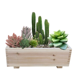 MA510 - 10" x 16" Dual Purpose Cedar Garden Planter Box & Storage Box (Set of 2)